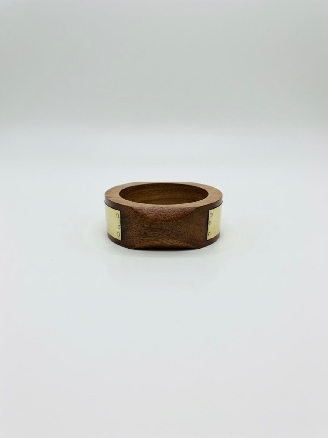 Ate Resin & Brass Bangles-Set of 2