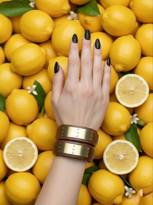 Ate Resin & Brass Bangles-Set of 2